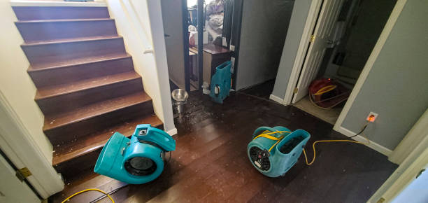 Best Water damage cleanup near me  in Fountainebleau, FL