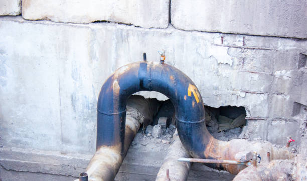 Best Carpet water damage restoration  in Fountainebleau, FL